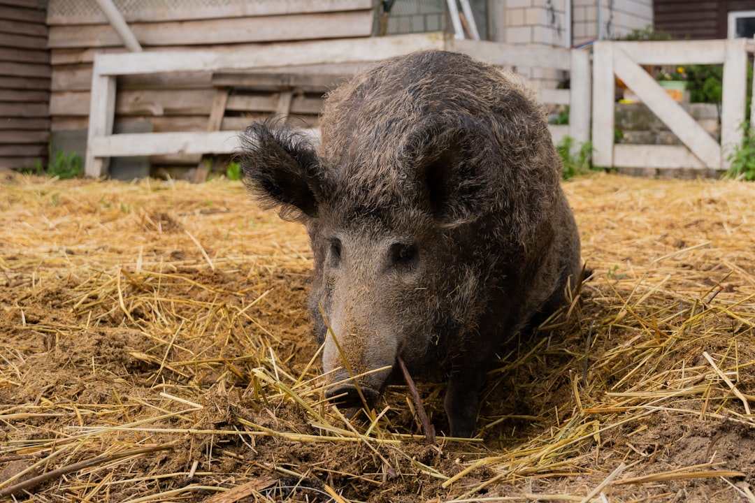 Looduslikud materjalid vannitoas